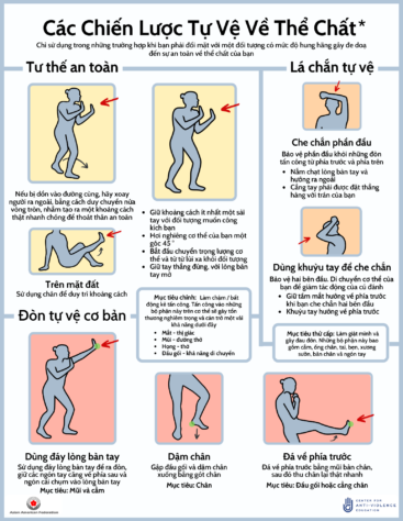 Vietnamese Physical Self-Defense One-Pager